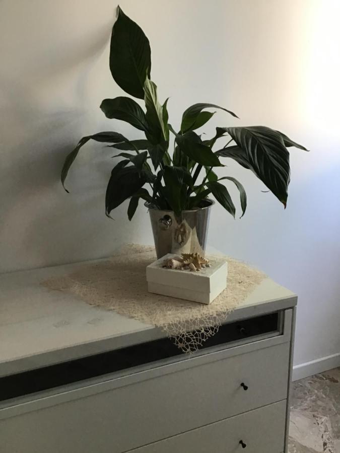 Stella Di Mare Apartman Rimini Kültér fotó